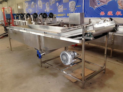 水果干加工設備生產商 諸城億馬機械 山東水果干加工設備