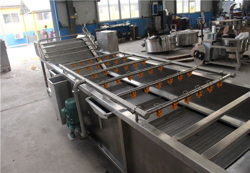 自動化清洗設備 諸城鑫燁食品機械 清洗設備